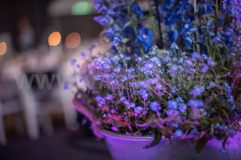 Stenungsbaden Yacht Club, Företagarna, Stenungsund, Galan´15, Tjörn Orust, Fotograf Ingela Vågsund, Företagsfotografering, Eventfotografering